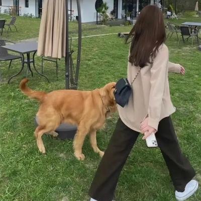 欢迎回家